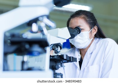 Scientist using a microscope in a laboratory