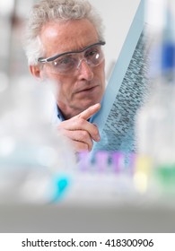 Scientist Viewing DNA Autoradiogram Experiment In Laboratory