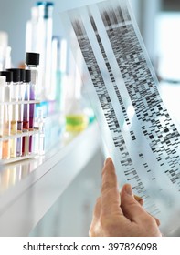 Scientist Viewing A DNA Sequence Gel To Understand The Genetic Information Of A Human In A Laboratory