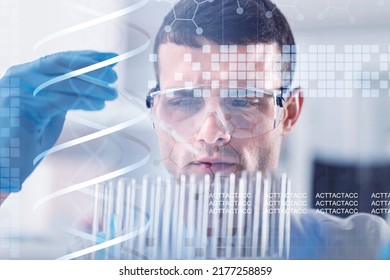 Scientist With Virtual Screen With Data Scientific At Genetic Engineering Lab. Biomedical Engineer Genetic Working With Microtubes In Biotechincal Laboratory