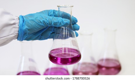 The Scientist Wear Blue Nitrile Gloves Holding Erlenmeyer Conical Flask, With Purple Violet Solvent Forming Reaction Boric Acid And Ammonia Solution Analysis In Wastewater Sample. Selective Focus.