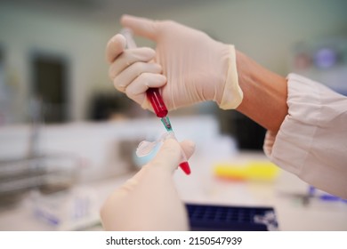 Scientist Wearing Medical Gloves Use Syringe Mix Red Color Solutions For Carbohydrate Fermentation Test, Acid Detection, Laboratory Concept.