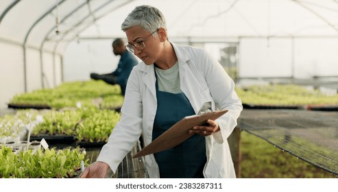 Scientist, woman and checklist for greenhouse plants, farming or agriculture inspection, quality assurance and growth. Senior farmer or science expert check vegetables and clipboard for food security - Powered by Shutterstock