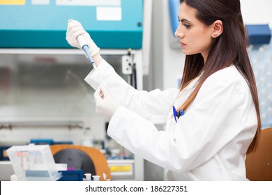 Scientist at work in a laboratory