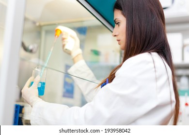 Scientist at work in a laboratory