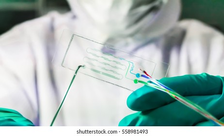 Scientist work with micro chip