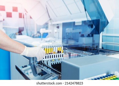 Scientist Working With Auto Robotical Machine For Testing Blood, Modern Medical Equipment. Automation In Clinical Laboratory.