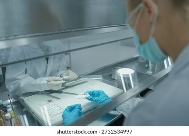 Scientist working inside flow biosafety cabinet. Pathologist team preparing tissue biopsy cassettes for histology processing. Scientists  handling medical samples in sterile laboratory hood.
