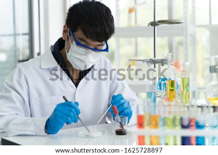 Scientist is working in the lab