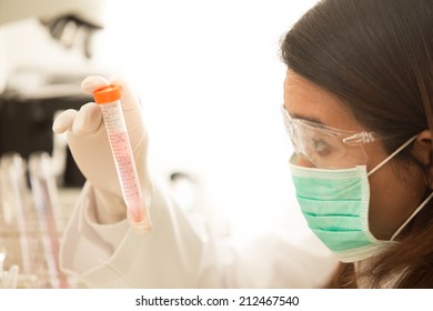scientist working at the laboratory. Separate the white background
