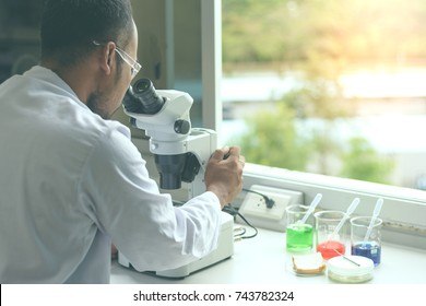 Scientist Working With Microscope In Biology Science Laboratory