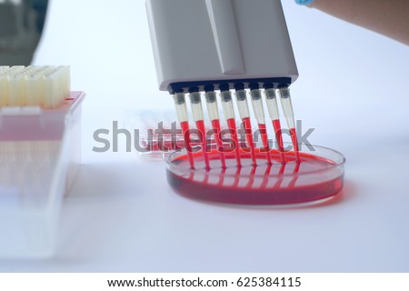 Scientist working with multichannel pipette.Blood test labboratory