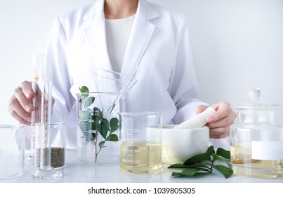 Der Wissenschaftler, Arzt, stellt alternative Kräutermedizin mit Kräuterpflanzen im Labor als organisches Naturprodukt her. Ölkapsel, natürliche organische Hautpflege und Kosmetik.