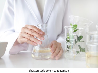 The Scientist,doctor, Make Alternative Herb Medicine With Herbal The Organic Natural In The Laboratory. Oil Capsule, Natural Organic Skincare And Cosmetic.