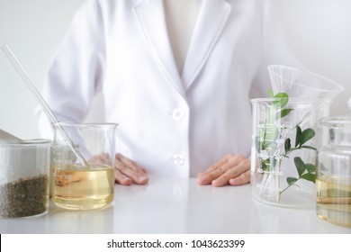 The Scientist,doctor, Make Alternative Herb Medicine With Herbal The Organic Natural In The Laboratory. Oil Capsule, Natural Organic Skincare And Cosmetic.