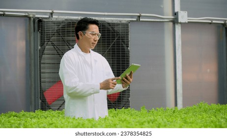 Scientists asian walking and using tablets computer checking and research before farmers harvesting lettuce from hydroponics farm. agriculture organic vegetables and health food.