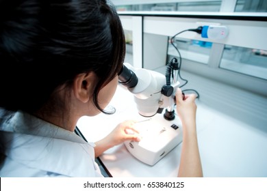 Scientists are certain activities on experimental science like mixing chemicals, use microscope, entry data to develop science medicines, foods for everyone on the world, copy space, film effect.