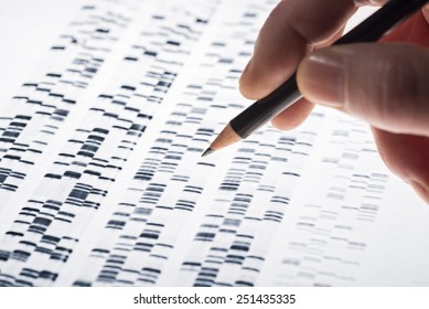 Scientists examined DNA gel that is used in genetics, medicine, biology, pharma research and forensics. - Shutterstock ID 251435335