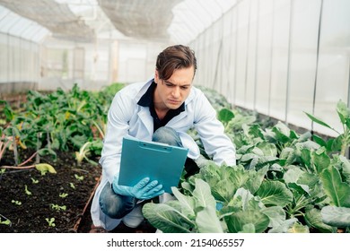 32,228 Vegetal science Images, Stock Photos & Vectors | Shutterstock