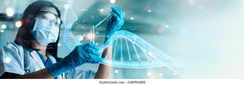 Scientists are experimenting   research and molecule model  DNA  Human Biology  Genetic research  Science and molecules   atoms in the laboratory  Medical science   biotechnology 
