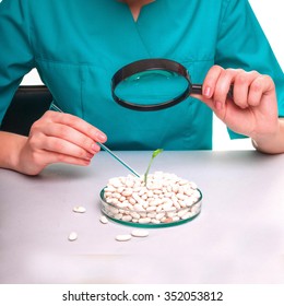 Scientists looking through a microscope.  smiling female scientist analyzing young plants at the laboratory