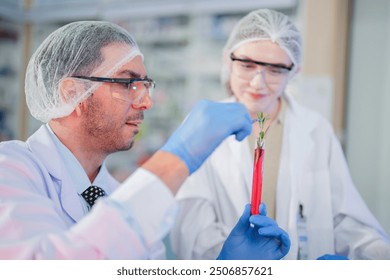 scientists perform experiments and record data. people arranges equipment with test tubes and chemicals for producing medicine and biochemistry. man hold tubes of chemical liquids and plant samples.