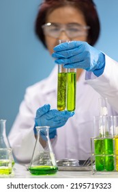 Scientists Are Researching Algae Energy For Reliable Biofuel Source.