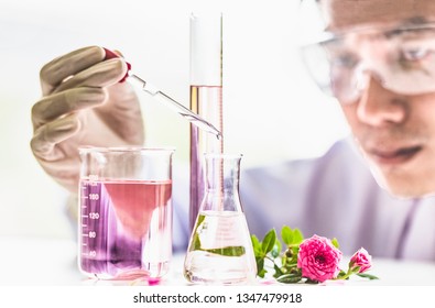 
Scientists Researching Natural Herbal Extracts From Roses In The Laboratory For Scent Separation For Skin And Perfume Products. Concepts Science For Medicinal Plants For Health.