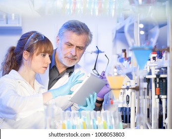 Scientists Researching In Scientific Laboratory. Young Female Scientist And Her Senior Male Supervisor Looking At The Cell Colony Grown In The Petri Dish In The Life Science Research Laboratory.