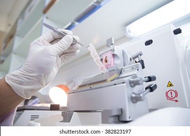 Scientists Slide Tissue Biopsy For Diagnosis In Pathology Laboratory