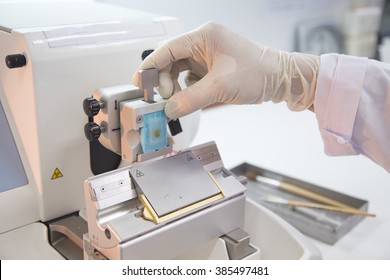 Scientists Slide Tissue Biopsy For Diagnosis In Pathology Laboratory