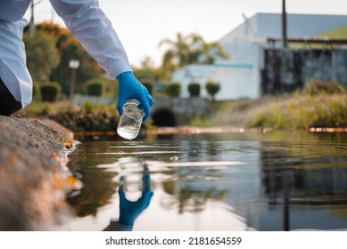 Scientists Team Collect Water Samples For Analysis And Research On Water Quality, Environment With Saving Earth.