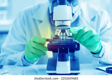 Scientists are using a microscope to test for viruses. or bacteria in the laboratory. Culture testing for the treatment of various diseases such as cancer, diabetes and COVID-19.