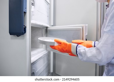 Scientists work in the laboratory. Remove the biomaterial from the freezer - Powered by Shutterstock