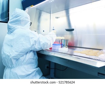 Scientists work in the laboratory,laboratory background,science test background