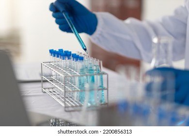 Scientists Work With In Vitro Reagents In Laboratories And Draw Conclusions From Their Research.