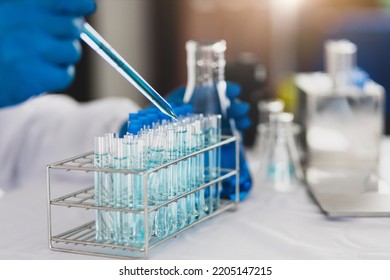 Scientists Work With In Vitro Reagents In Laboratories And Draw Conclusions From Their Research.