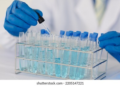 Scientists Work With In Vitro Reagents In Laboratories And Draw Conclusions From Their Research.