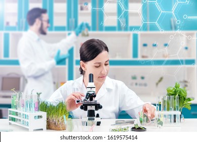 Scientists are working at microbiology laboratory. Woman is conducting experiments, tests with plants. Biotechnologist is researching leaves with microscope. Biologist workplace. GMO concept.