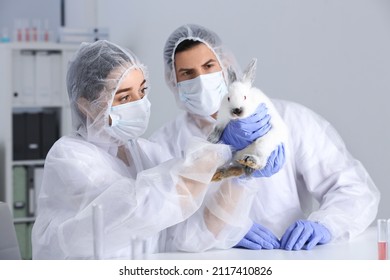 Scientists Working With Rabbit In Chemical Laboratory. Animal Testing