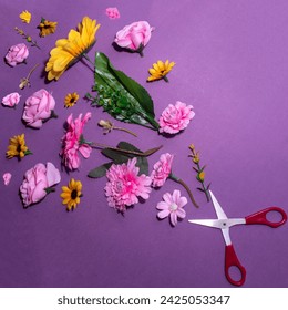 Scissors and flowers creative layout. Flat lay. Concept photography.