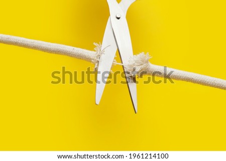 Scissors with frayed rope on color background