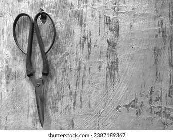 scissors hanging on the wall
