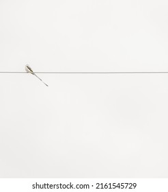 Scissor-tail Fly Catcher On A Wire