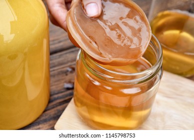Scoby, Hand holding tea mushroom with kombucha tea, Healthy fermented food, Probiotic nutrition drink for good balance digestive system.
