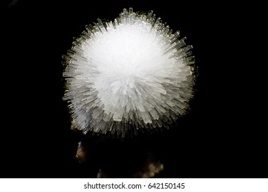 Scolecite on Stilbite formation