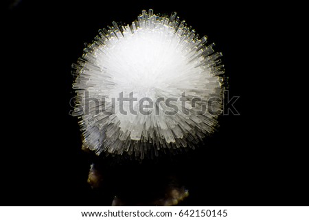 Scolecite on Stilbite formation