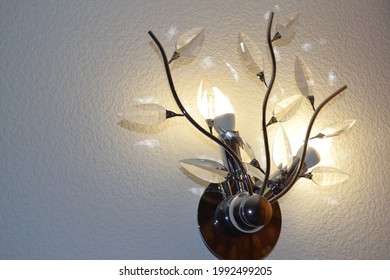 Sconces On The Embossed Wall. Wall Lamp With Transparent Petals With Lights On. Internal Lighting. Close-up.