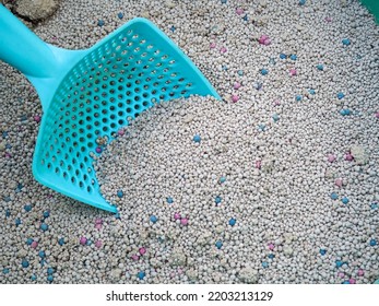 Scoop the blue cat litter on the gray cat litter. - Shutterstock ID 2203213129