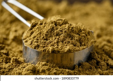 Scoop Of Hemp Vegan Protein Powder. Sport Nutrition.